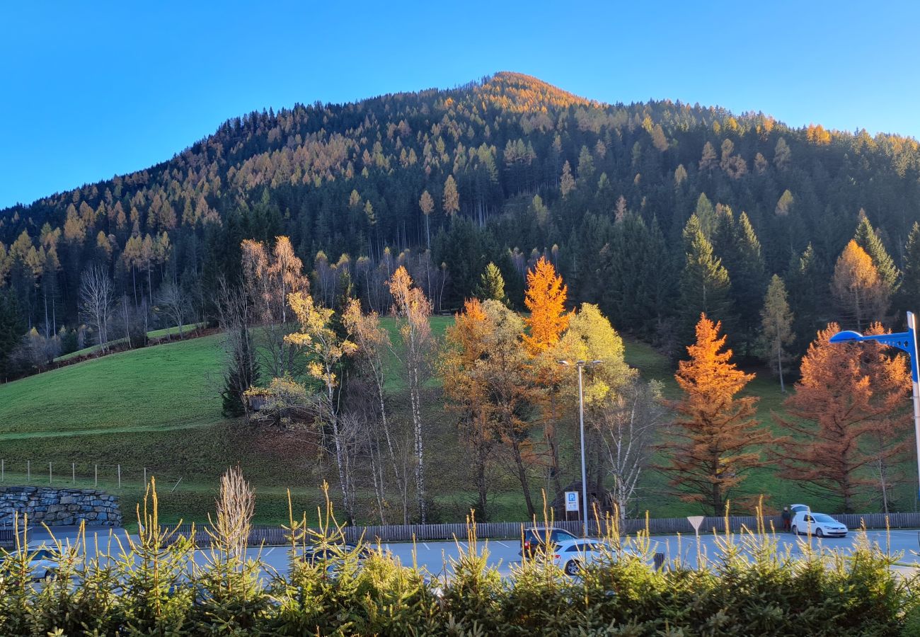 Ferienwohnung in Bad Kleinkirchheim - Haus Therme Top 1 by Globalimmoservice