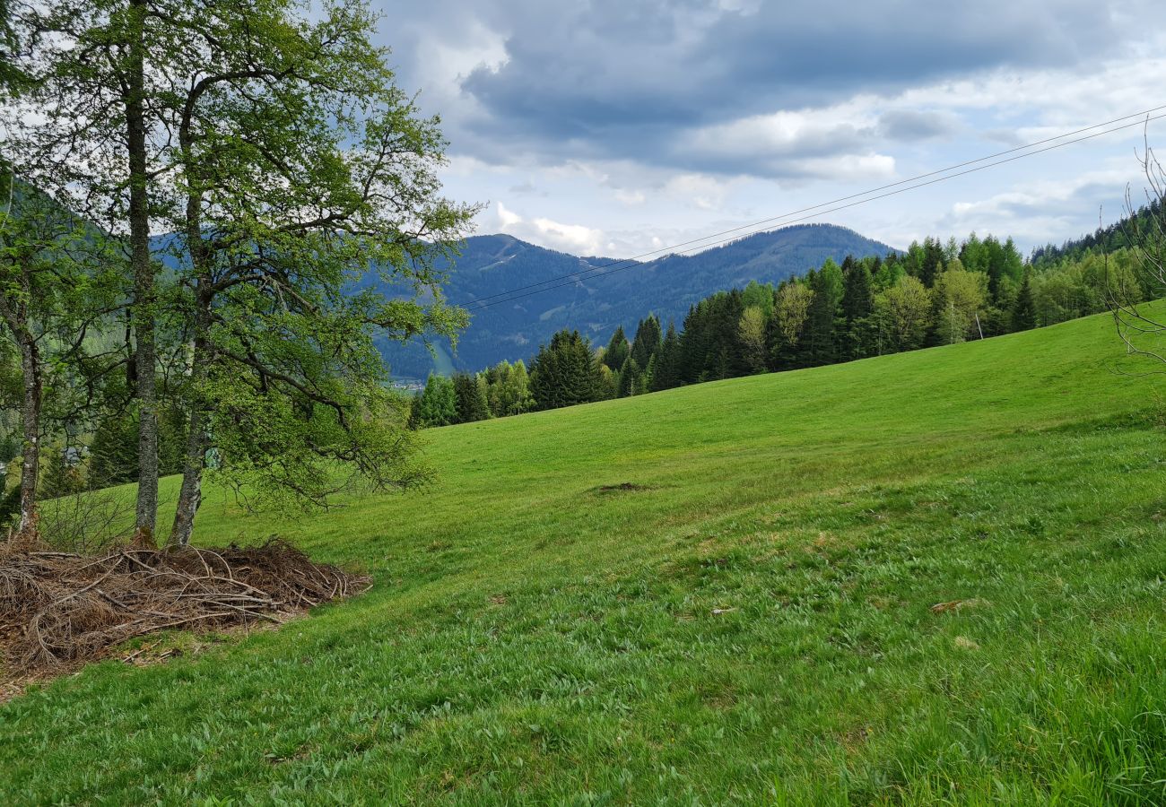 Ferienwohnung in Bad Kleinkirchheim - Der Kristall Top 2 by Globalimmoservice