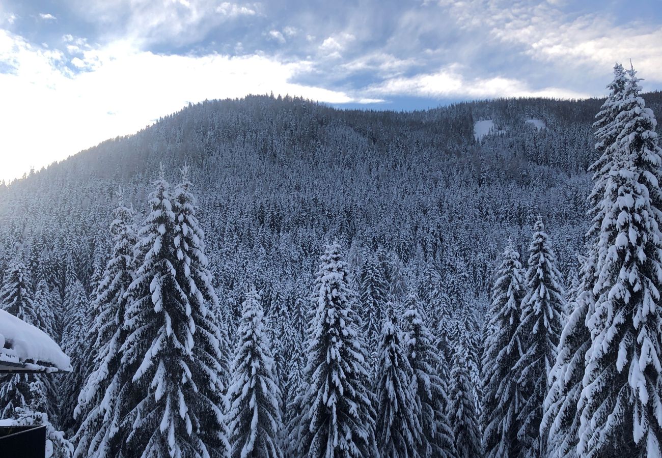 Ferienwohnung in Ebene Reichenau - Mountain View by Globalimmoservice