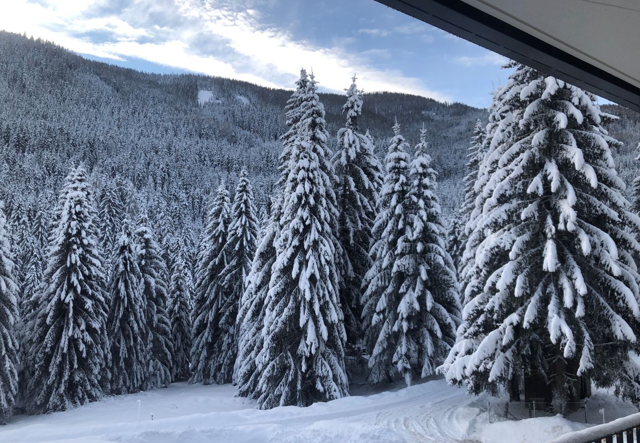 Ferienwohnung in Ebene Reichenau - Mountain View by Globalimmoservice